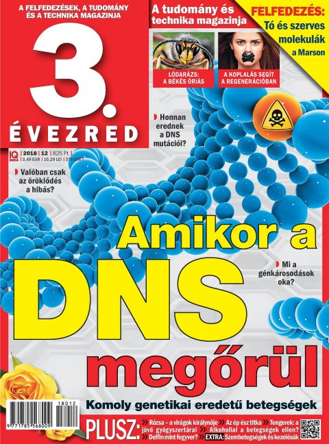 3. ÉVEZRED 3. ÉVEZRED